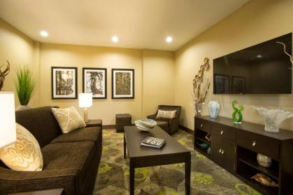 Staybridge Suites Orlando at SeaWorld - image 18