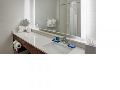 Holiday Inn Express & Suites Orlando At Seaworld - image 10