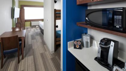 Holiday Inn Express & Suites Orlando At Seaworld By IHG - image 28