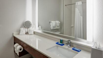 Holiday Inn Express & Suites Orlando At Seaworld - image 5