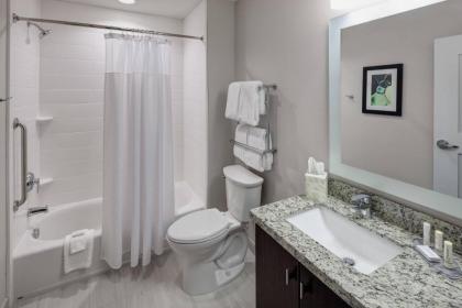 TownePlace Suites by Marriott Orlando at SeaWorld - image 23