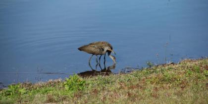 Shoreway Condo #231522 - image 27