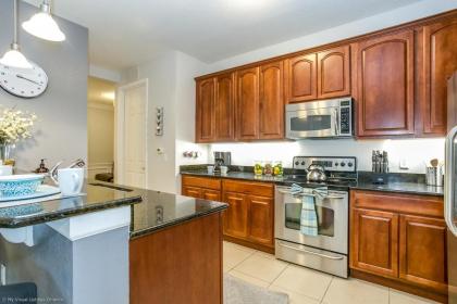 Spring Lakeview Condo - image 11