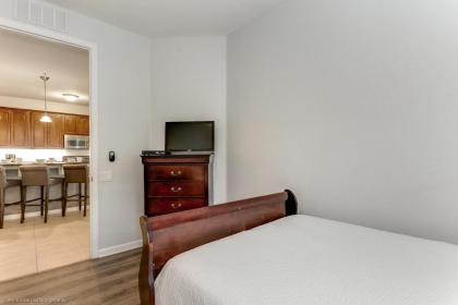 Spring Lakeview Condo - image 19