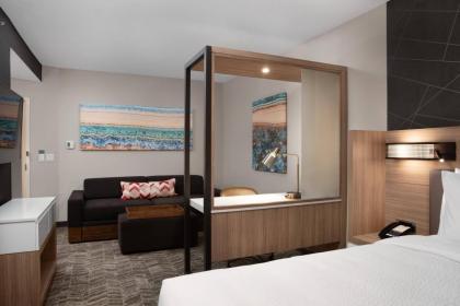 Springhill Suites by Marriott Orlando Theme Parks/Lake Buena Vista - image 13