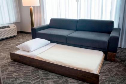 Springhill Suites by Marriott Orlando Theme Parks/Lake Buena Vista - image 17
