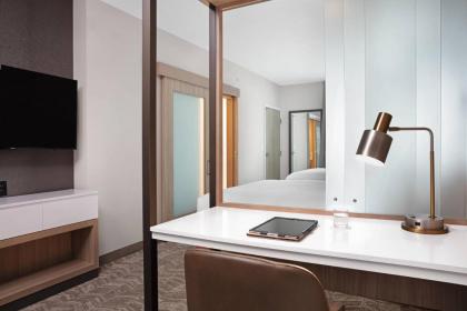 Springhill Suites by Marriott Orlando Theme Parks/Lake Buena Vista - image 18