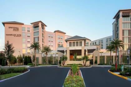 Springhill Suites by Marriott Orlando Theme Parks/Lake Buena Vista - image 3