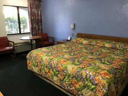 Flamingo Inn - image 15