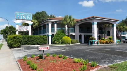 Flamingo Inn - image 8