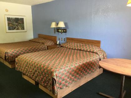 Flamingo Inn - image 9