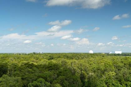 JW Marriott Orlando Bonnet Creek Resort & Spa - image 12