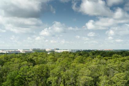 JW Marriott Orlando Bonnet Creek Resort & Spa - image 14