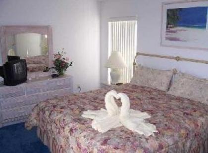 Disney Area Budget Homes - image 4