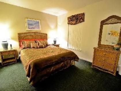 Disney Area Budget Homes - image 6