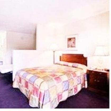Howard Johnson Enchanted Land - image 4