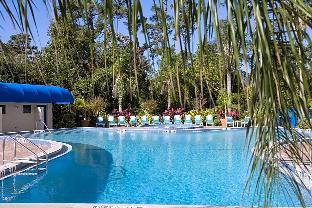 Best Western Lake Buena Vista - Disney Springs Resort Area - image 7