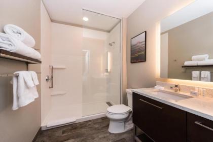 TownePlace Suites by Marriott Orlando Airport - image 24