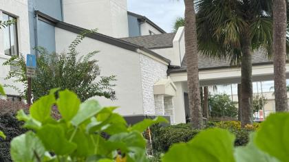 Destiny Palms Hotel Maingate West - image 14