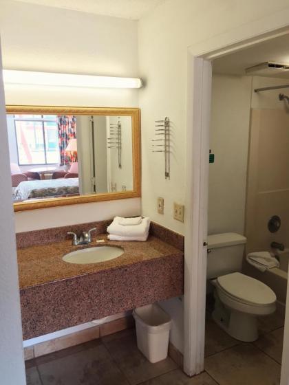 Ambassador Inn - image 4