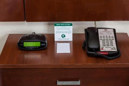 Flamingo Express Hotel - image 5