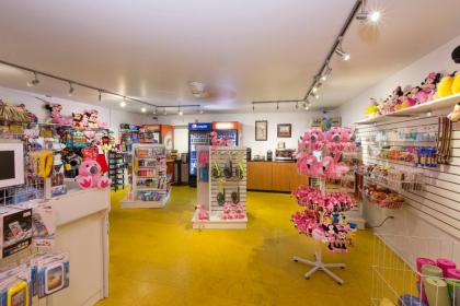 Flamingo Express Hotel - image 7