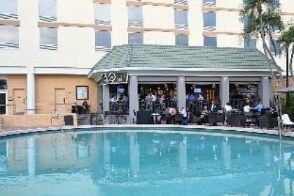 Rosen Plaza on International Drive - image 15
