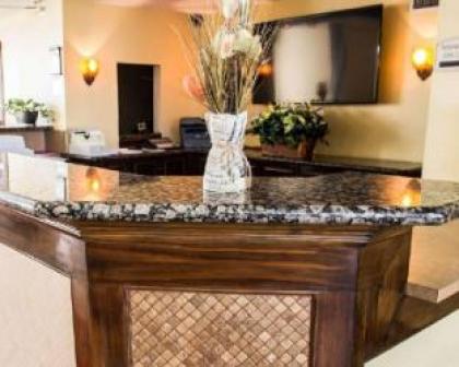 Stayable Suites Orlando - image 4