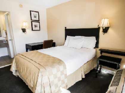 OYO Hotel Orlando South Orange Blossom Trail - image 10