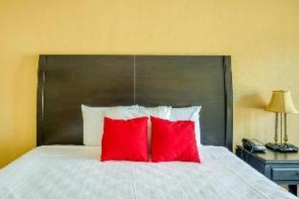 OYO Hotel Orlando South Orange Blossom Trail - image 20