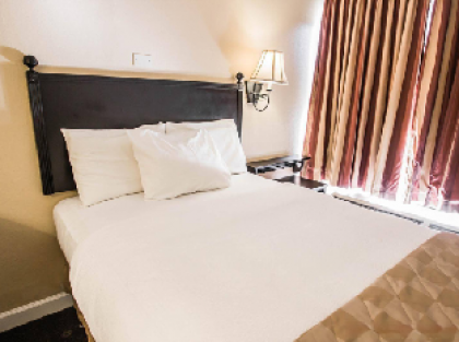 OYO Hotel Orlando South Orange Blossom Trail - image 8
