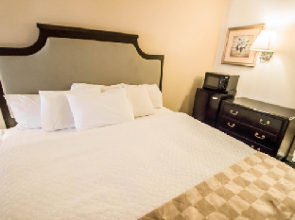 OYO Hotel Orlando South Orange Blossom Trail - image 9