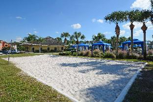 Candy Palm - image 7