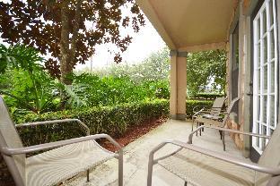 Under the Palms - image 7