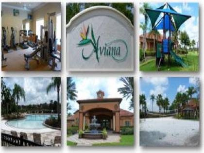 Viola Large 5BR Pool Home in Gated Resort - image 8