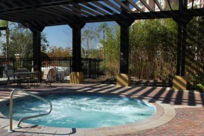 Vista Cay Casa Bonita. Near Parks and Conventions - image 14