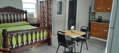 GUEST HOUSE IN DR PHILLIPS - image 3