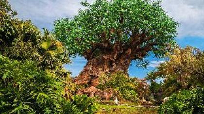 Encantada Resort 4 Bedrooms near Disney in Orlando FL 3050