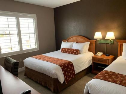 Perfect Place Suite Apt 2 Queen Beds FREE Parking - image 24