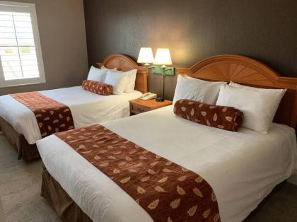 Perfect Place Suite Apt 2 Queen Beds FREE Parking - image 27