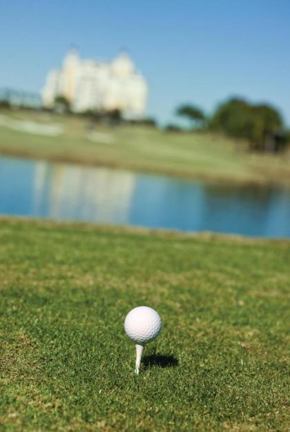 WorldMark Reunion - image 9