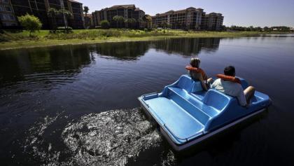 Apartment in Orlando - image 13