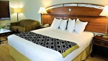 Monte Carlo Inn- Near Disney - image 7