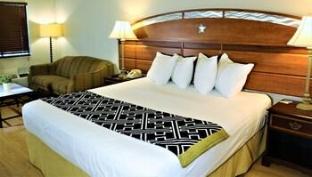 Monte Carlo Inn- Near Disney - image 7