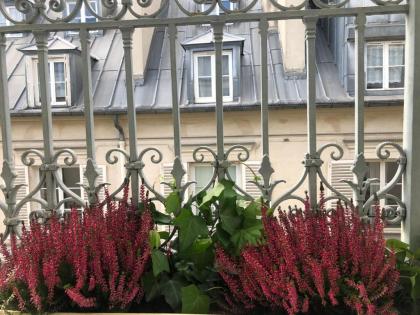 Hotel Corona Rodier - image 19