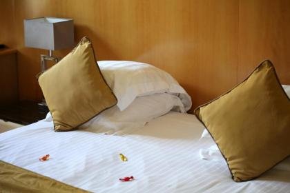 Hotel Boronali - image 3