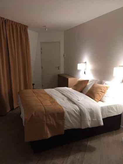 Hotel Ferney République - image 2