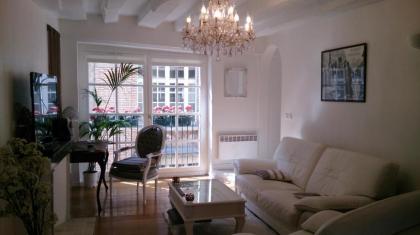 Magnifique Appartement dans Hôtel Particulier Monument Historique - image 1
