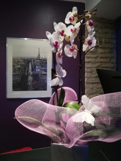 Hotel du Globe 18 - image 5