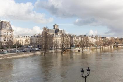 Veeve - Overlooking the Seine on Ile de la Cité - image 8